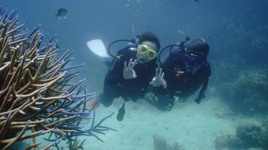 我們出發前往澳洲，上天下海，感受到大自然的威力