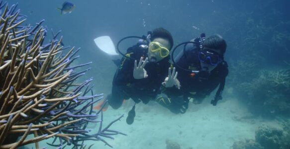 我們出發前往澳洲，上天下海，感受到大自然的威力